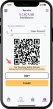Provide Your Wallet Address